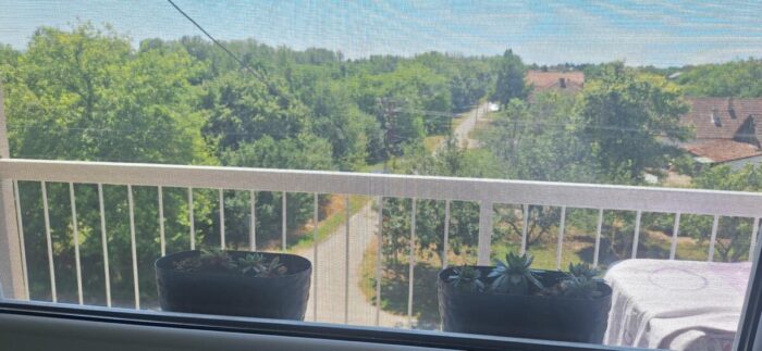 Apartman Uroš (1)